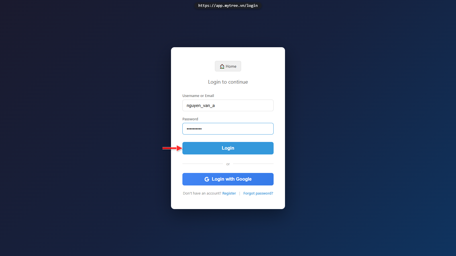 Login Form Filled